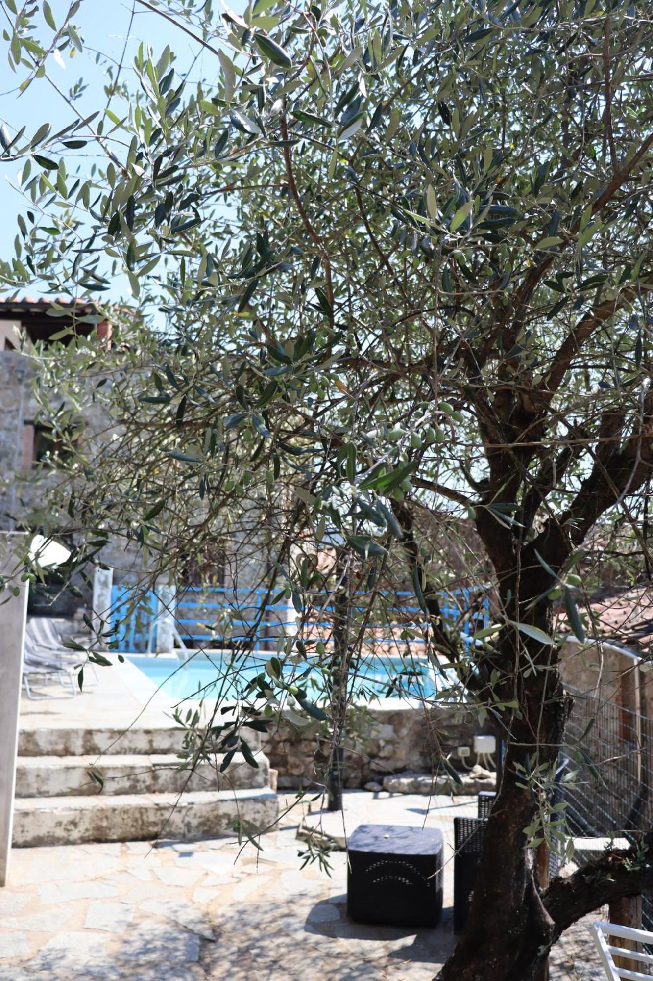 Villa Carpe diem Colognora Vetriano Exterior foto