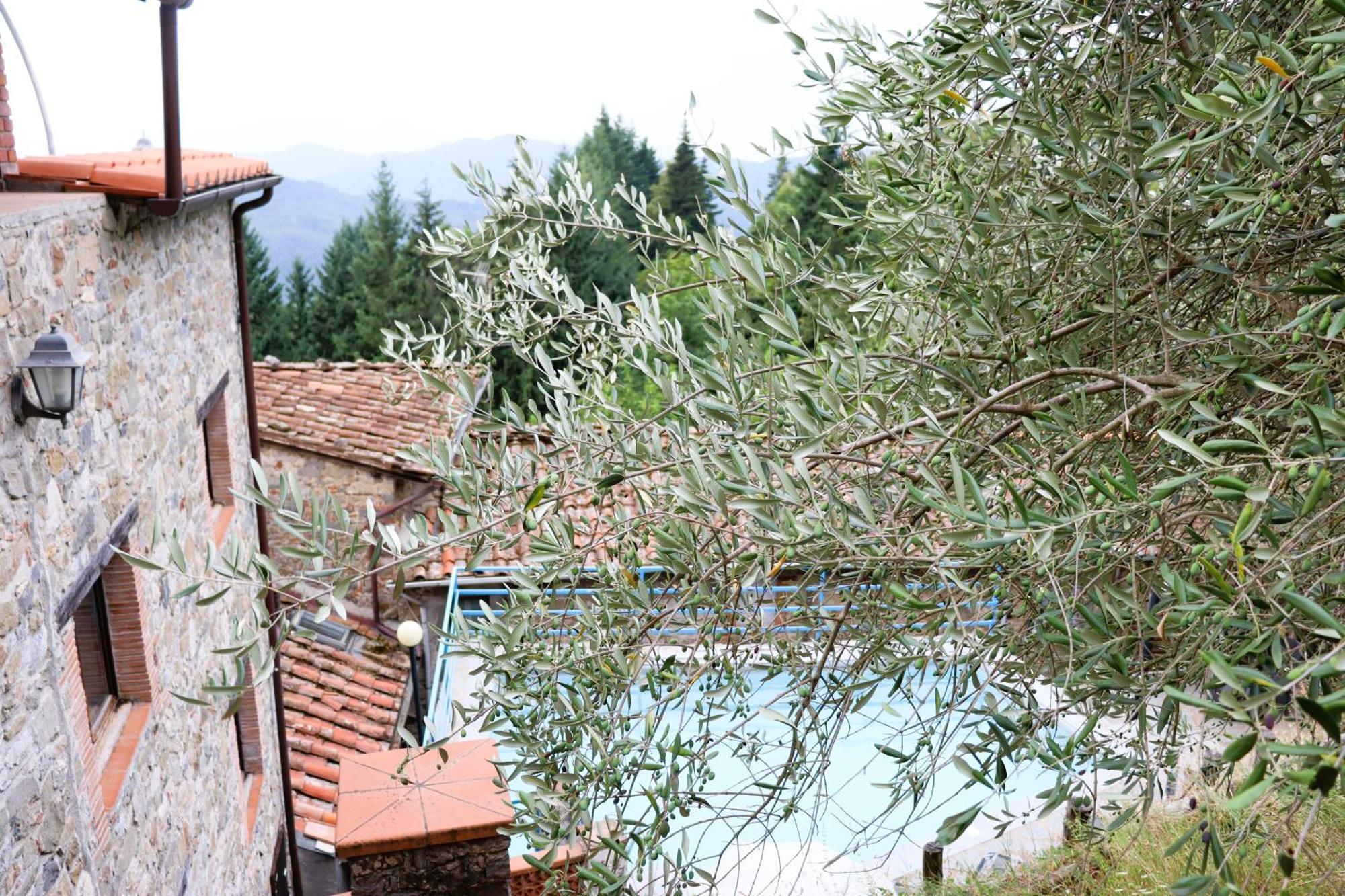 Villa Carpe diem Colognora Vetriano Exterior foto
